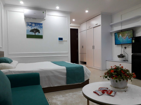 Chính chủ cho thuê căn studio đủ đồ chung cư C2 Vinhomes D'Capitale giá 12.5 triệu/tháng