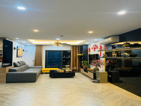 Bán Nhanh Căn Hộ Dolphin Plaza 182m2 . 3 Phòng Ngủ + 1. Đồ Cơ Bản, Tầng Trung, Thoáng.