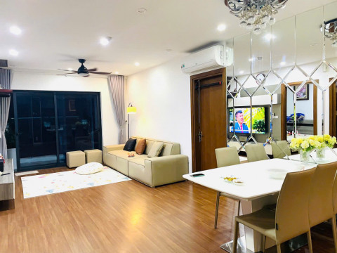 Cho thuê căn 3n3vs Dolphin Plaza Mỹ Đình, full đồ, 176m, 17tr