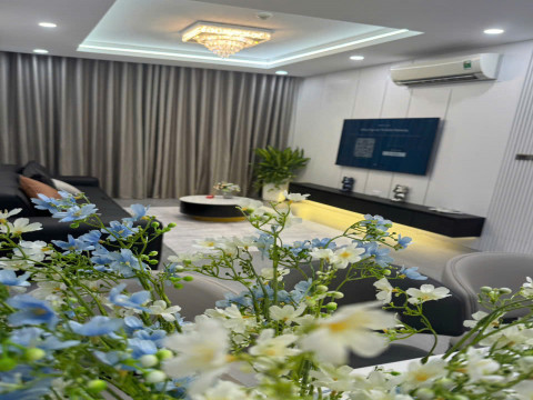 Gia đình cần cho thuê căn hộ Dolphin Plaza 4 phòng ngủ nội thất cơ bản LH: 0396582295
